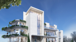 IK-50- Perspective-01